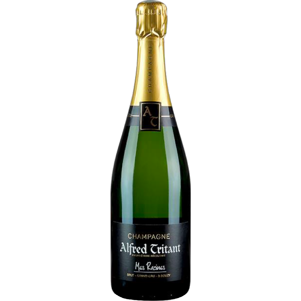 MES RICINES - Alfred Tritant