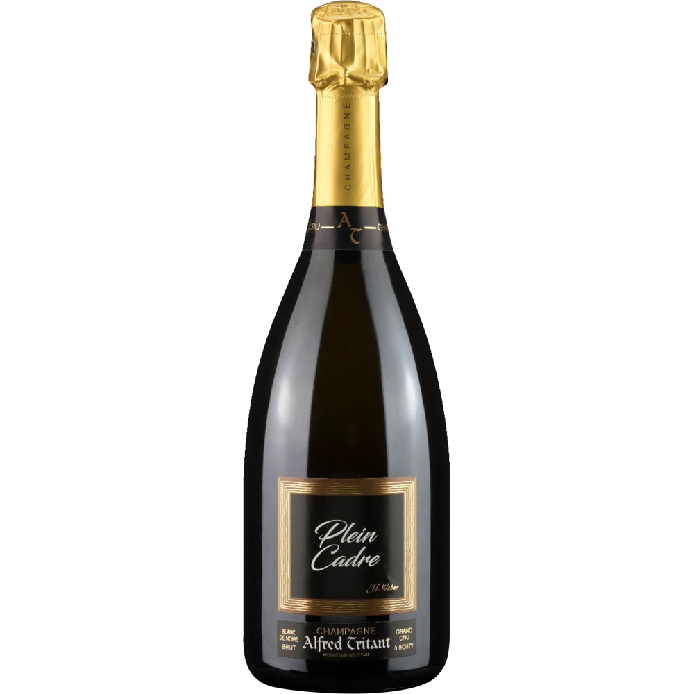 PLEIN CADRE - Alfred Tritant