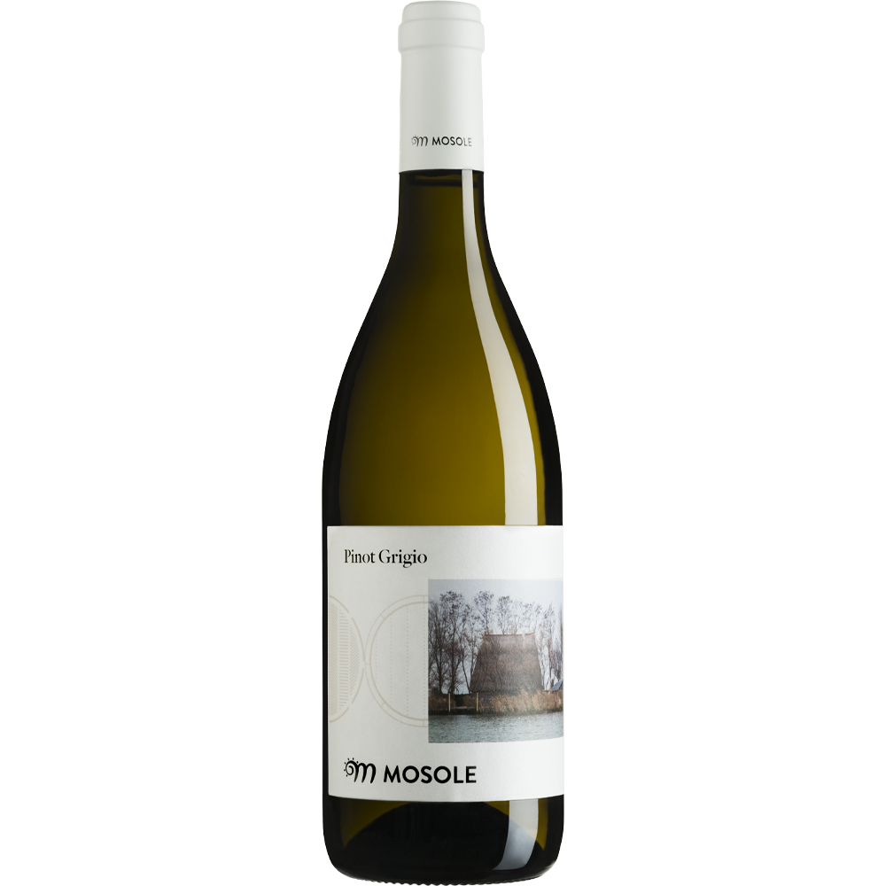 PINOT GRIGIO