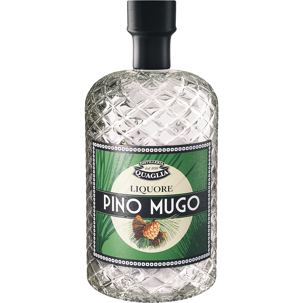 PINO MUGO - Quaglia