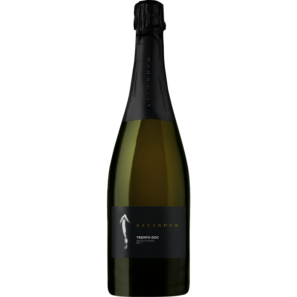 TRENTO DOC BRUT